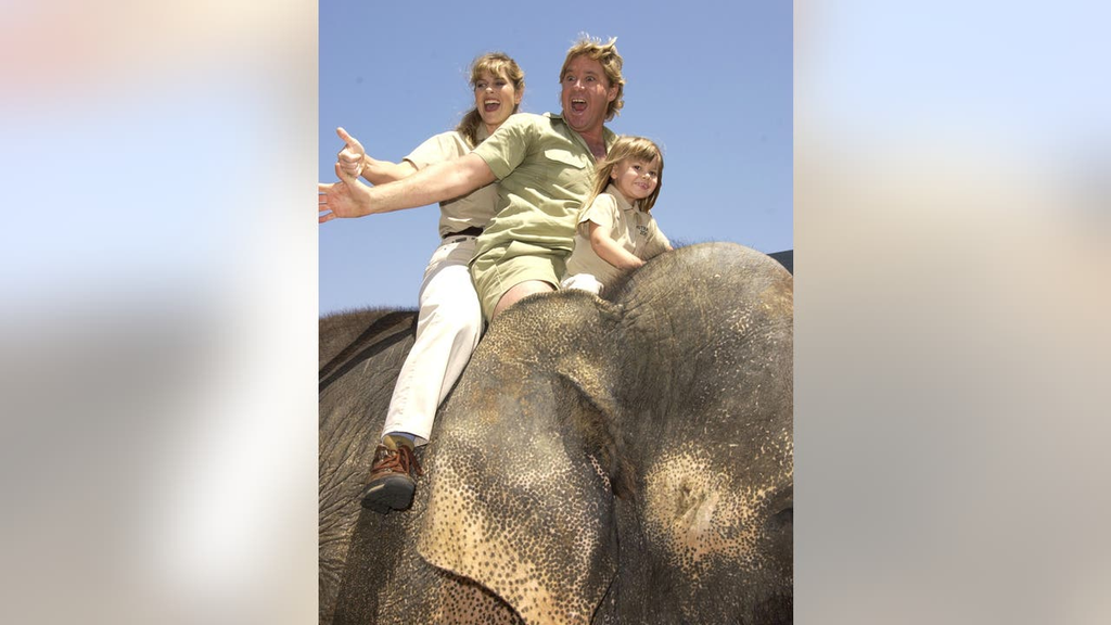 Steve Irwin Before Fame